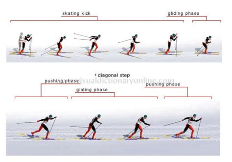 Sports And Games Winter Sports Cross Country Skiing Skating Step