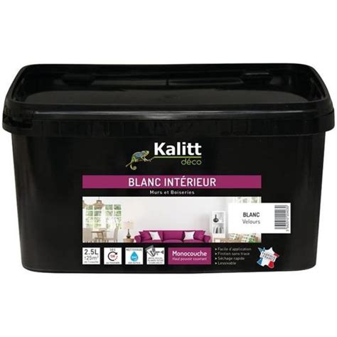 Kalitt Deco Peinture Mur Plafond Monocouche Acrylique Velours L