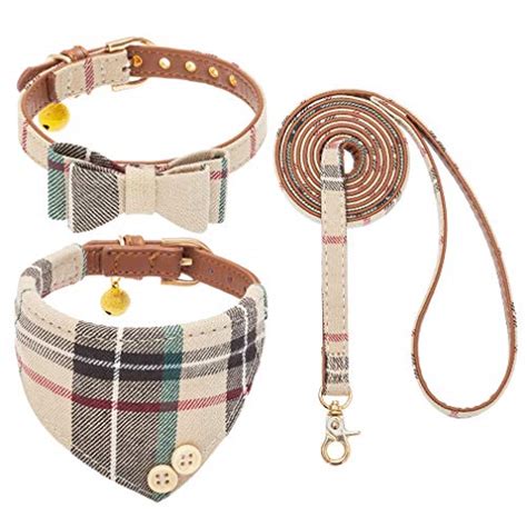 Best Cute Boy Dog Collars