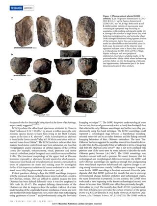 33 Million Year Old Stone Tools From Lomekwi 3 West Turkana Kenya Pdf