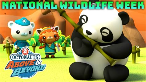 Octonauts Above Beyond Helping All Forest Creatures