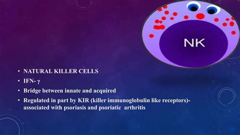 Recent Advances In The Pathophysiology Of Psoriasis Ppt