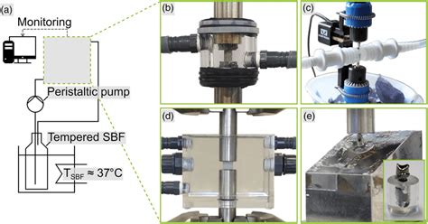 A General Experimental Set‐up For In Vitro Experiments With B