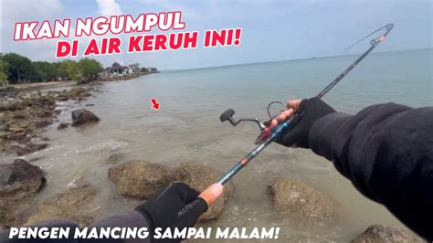 AIR KERUH PINGGIR LAUT ISINYA IKAN NGUMPUL YouTube