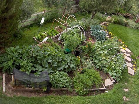 How To Properly Fertilize Your Colorado Vegetable Garden