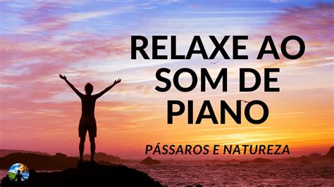 M Sica Relaxante Instrumental Piano Sons Da Natureza P Ssaros Na