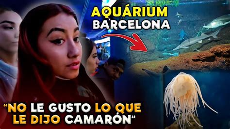 Nuestra Primera Vez En Un Acuario En Barcelona Camar N Le Dice La