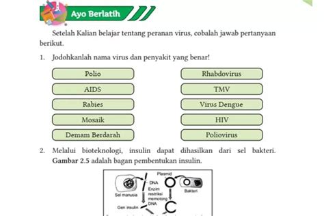 Kunci Jawaban Ipa Kelas Sma Kurikulum Merdeka Halaman