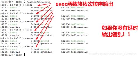 Exec函数族的基本用法 Exec函数族的具体使用方法 Csdn博客