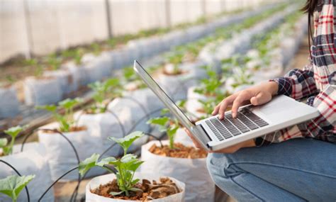 Top Best Agritech Startups In India Revolutionizing