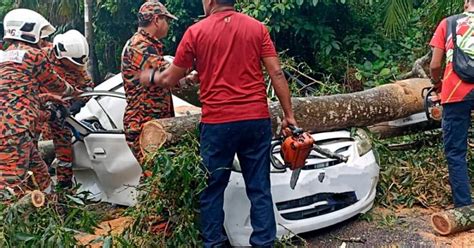 Lelaki Maut Kereta Dihempap Pokok Tumbang Di Senawang