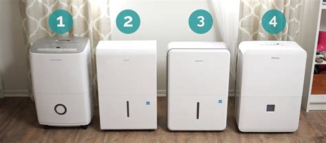 The 5 Best Dehumidifiers For 2024 Reviews By Your Best Digs