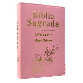 B Blia Sagrada Evang Lica Feminina Luxo Rosa Letra Gigante Harpa