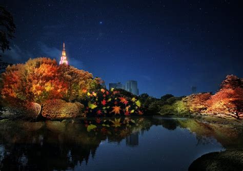 NAKED Autumn Leaves Shinjuku Gyoen 2023 Events In Tokyo Japan Travel