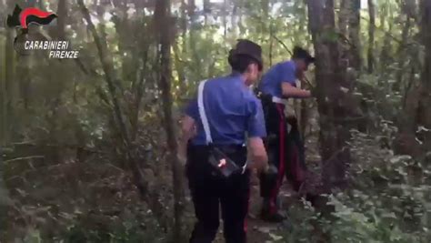 Droga Il Bosco Delle Cerbaie Ancora Nel Mirino Arrestato Spacciatore