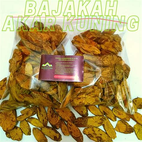 Jual KAYU BAJAKAH AKAR BAJAKAH AKAR KUNING SUPER 100 ASLI KALIMANTAN