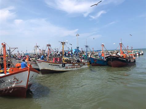 Pesca Artesanal Y Pesca Industrial En El Peru Pesca Informaci N