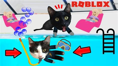 Jugando Al Escondite En La Piscina De Roblox Con Gatitos Luna Y