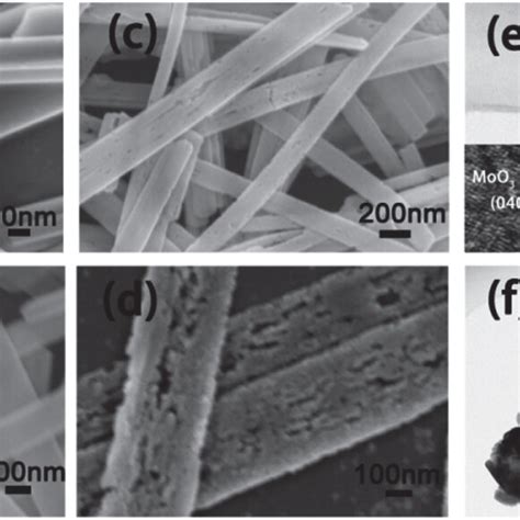 Sem Images Of A Moo Nanobelts B Mo N Nanobelts C R Mo N Moo