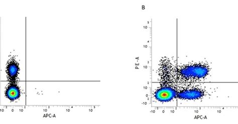 Flow Cytometry Lymphocytes Astral Projection