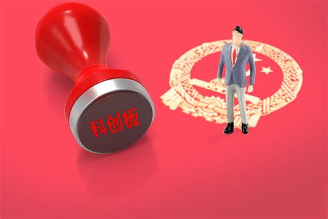 上交所：个别自媒体对科创板发行人信息披露提出的质疑与事实不符 每经网