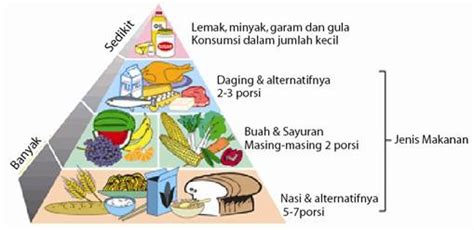 Piramida Makanan Panduan Makan Sehat Beserta Contoh Doktersehat Riset