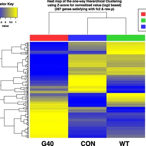 Analysis Of Hierarchical Clustering Heat Map Shows Expression Levels Download Scientific