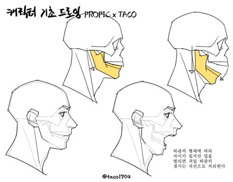 타코작가 On Twitter 그림 레퍼런스 해부학 예술 드로잉 강좌