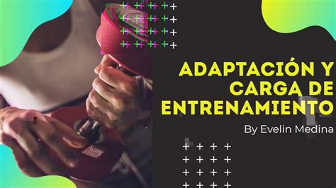 Adaptaci N Y Carga De Entrenamiento Bases Del Entrenamiento Deportivo