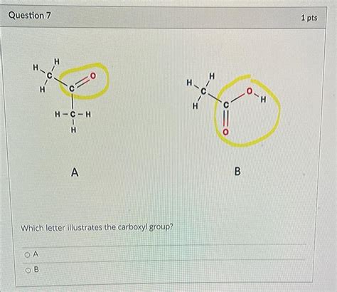 Solved Which letter illustrates the carboxyl group? A | Chegg.com