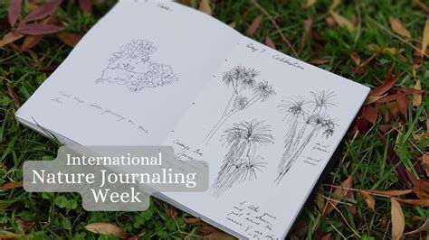 International Nature Journaling Week 2022 Nature Journal Pages