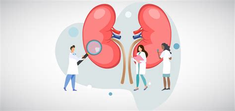 Chronic Kidney: Treatment, Causes, Diagnosis, Treatment | Happiest Health