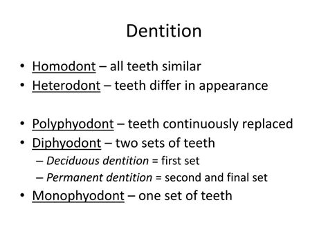 PPT - Teeth PowerPoint Presentation, free download - ID:1924144