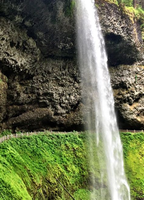 Visiting Silver Falls State Park Faqs