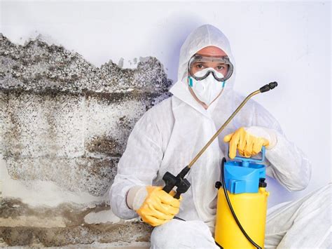 Mould Damage Restoration Rapid Restoration