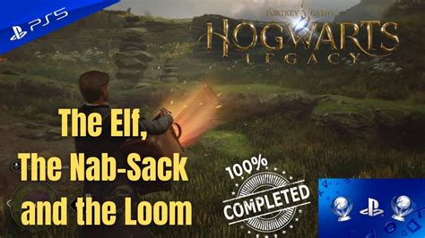 Hogwarts Legacy The Elf The Nab Sack And The Loom YouTube