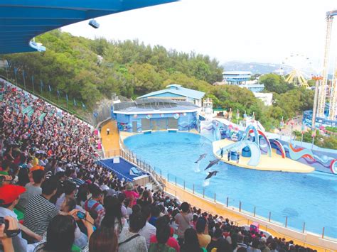 The Ultimate Guide To Ocean Park Hong Kong Hong Kong Tourism Board