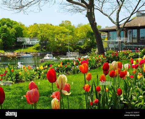 Perkins Cove Ogunquit Maine Usa Stock Photo Alamy