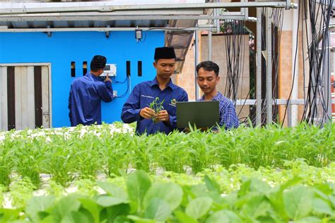 Foto Penerapan Iot Xl Axiata Mudahkan Santri Pada Budidaya Maggot Dan