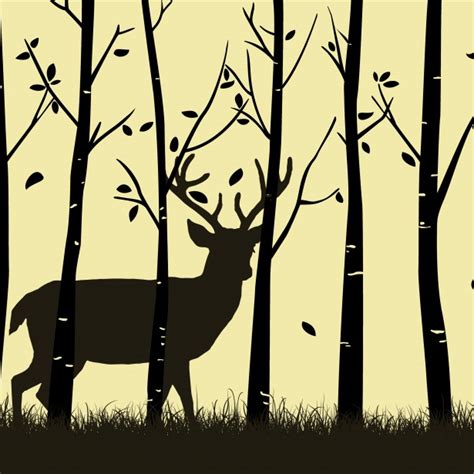 Deer In Forest Silhouette Free Stock Photo - Public Domain Pictures