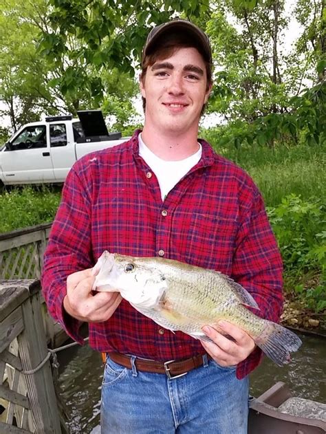 Harrisonville Angler Catches State Record White Crappie Crappie