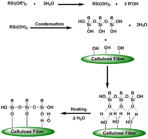 Hydrolysis And Condensation Reaction Of Silane With Cellulose