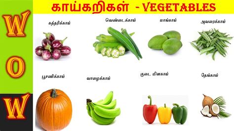 கயகறகள Learn Vegetable names in Tamil Preschool Learning video