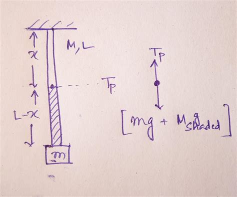 Calculate The Tension In The Rope Of Mass M Lengthl At The Given Point