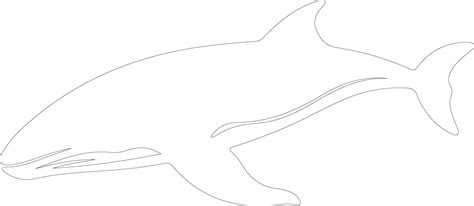 whale outline silhouette 38488170 Vector Art at Vecteezy