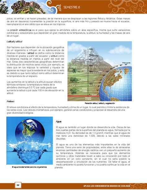 Cditec Prepa Ecolog A Y Medio Ambiente Sexto Semestre