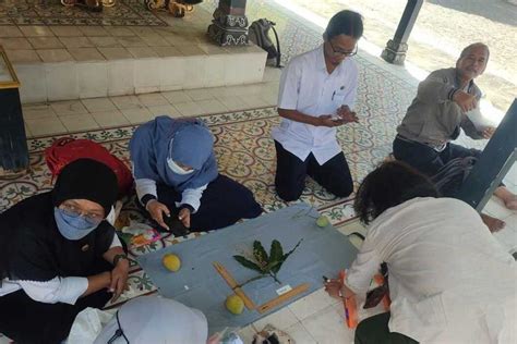 Foto Melihat Pohon Buah Langka Di Keraton Yogyakarta Dan Pura