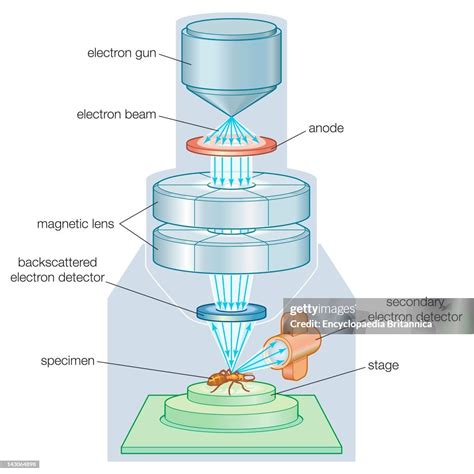 The Components Of A Scanning Electron Microscope News Photo Getty