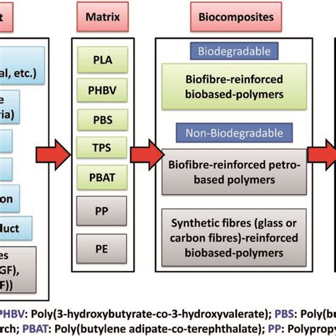 Types of biocomposites and examples | Download Scientific Diagram