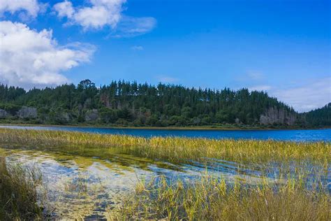 Camping at Kai Iwi Lakes, Northland, New Zealand - Jonistravelling